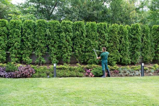 Best Lot and Land Clearing  in Rainbow Lakes, NJ